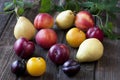 Juicy fresh plums, pears and nectarines on dark wooden background Royalty Free Stock Photo