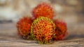 The juicy fresh red rambutan Royalty Free Stock Photo