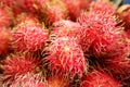 Rambutan Royalty Free Stock Photo