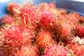 Rambutan Royalty Free Stock Photo