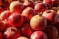 Juicy fresh ripe pomegranates. Wholesale market Royalty Free Stock Photo