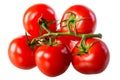 Juicy fresh tomatoes on a green branch Royalty Free Stock Photo