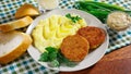 Juicy fried meat cutlets with mashed potatoes Royalty Free Stock Photo