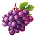 Juicy grape bunches ripe