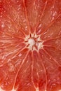 Juicy grapefruit background