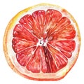 A juicy grapefruit half in watercolor, with a perfect balance of pink and red hues Royalty Free Stock Photo