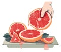 Juicy grapefruit slice, hand-picked for freshness