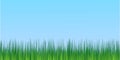 Juicy green grass blue sky background