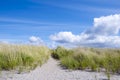 Juicy green grass on sand dunes on background of clouds Royalty Free Stock Photo