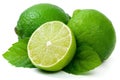 Juicy green lime and leaf of mint