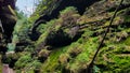 Juicy green mossy rocky passage on a forest path, Saxony, Germany