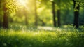 Juicy green nature background, leaves and grass, bokeh style, blurred background.