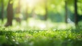 Juicy green nature background, leaves and grass, bokeh style, blurred background. Royalty Free Stock Photo