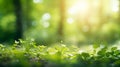 Juicy green nature background, leaves and grass, bokeh style, blurred background. Royalty Free Stock Photo