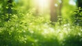 Juicy green nature background, leaves and grass, bokeh style, blurred background.