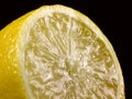 Juicy halved lemon