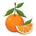 Healthy red orange and half . Isolated vector fruit in flat style. Summer clipart for design Royalty Free Stock Photo