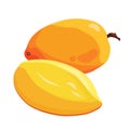 Healthy yellow red mango with slices on white background. Isolated vector fruit in flat style Royalty Free Stock Photo