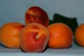 Juicy and homemade apricots