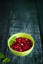 Juicy ingredients: fresh cranberries in a bowl, mint