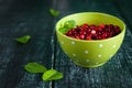 Juicy ingredients: fresh cranberries in a bowl, mint