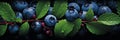Juicy and irresistible huckleberries for gourmet background banners of delectable delights