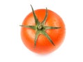 Juicy Isolated Tomato in white background