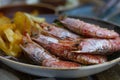 Juicy king prawns with potato chips aside Royalty Free Stock Photo