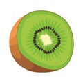 Juicy kiwi slice, fresh from nature bounty