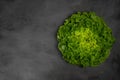 Juicy leaves of lettuce isolated on gray background.