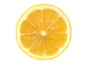 Lemon slice on white Royalty Free Stock Photo