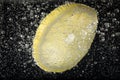 Juicy lemon slice in soda water against black background, closeup Royalty Free Stock Photo