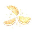 Juicy Lemon Slices. Sour pieces of citrus. Watercolor illustration. Isolated on a white background. For design kitchen