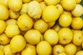 Juicy lemons on the counter in the supermarket. Close-up. Healthy eating and vegetarianism. The medicine of raising immunity