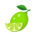 Juicy lime with green leaf and lime slice vector illustration is