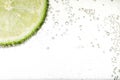 Juicy lime slice in soda water against white background, closeup. Space for text Royalty Free Stock Photo