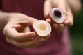 Juicy lychee fruit holding by hand ready to eating, Tropical fruit Royalty Free Stock Photo