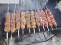 Juicy marinated in spices meat kebab on skewers, cooked and fried on a fire and charcoal barbecue grill, in the nature of snowy Royalty Free Stock Photo