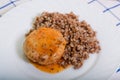 Juicy meat cutlet with tomato sauce with buckwheat Royalty Free Stock Photo