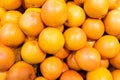 Juicy meaty ripe sweet grapefruit pile close-up, for food or fruit background. Rich in vitamins ingridient for dessert Royalty Free Stock Photo