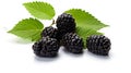 Juicy mulberries on a green leaf backdrop. Ripe and fresh berries. Concept of raw food, nature's candy, seasonal Royalty Free Stock Photo