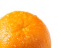 Juicy orange Royalty Free Stock Photo