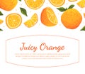 Juicy Orange Banner Template, Fresh Whole and Cut Ripe Citrus Fruits Vector Illustration