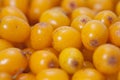 Juicy orange buckthorn berries