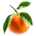 Juicy orange with green leaf isolated on a white background