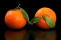 Juicy orange mandarin, two Half peeled mandarin on pure black background.