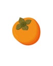 Juicy orange persimmon fruit, isolated on white background. Vector flat illustration Royalty Free Stock Photo