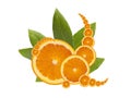 Juicy Orange Slices with Leaves Royalty Free Stock Photo