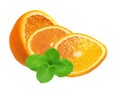 Juicy orange slices and mint herb isolated on white Royalty Free Stock Photo