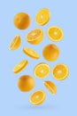 Juicy oranges as flow fly or fall as art composition. Whole, half, round slices fruits on pastel blue background with shadow. Royalty Free Stock Photo